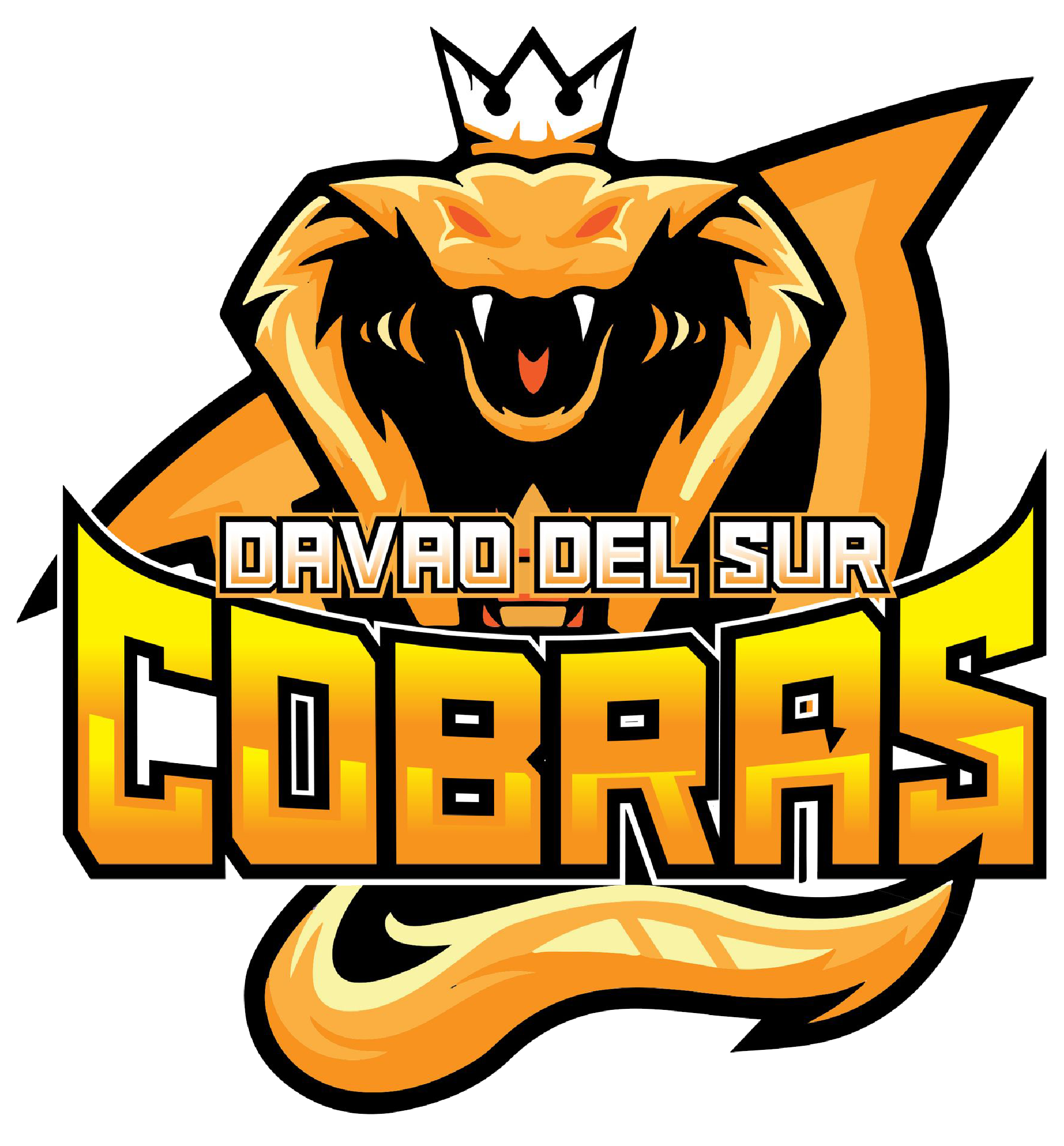 DAVAO DEL SUR COBRAS logo
